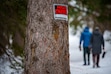 (Trent Nelson  |  The Salt Lake Tribune) Private property signs in Cardiff Fork, Big Cottonwood Canyon on Friday, Jan. 24, 2025.