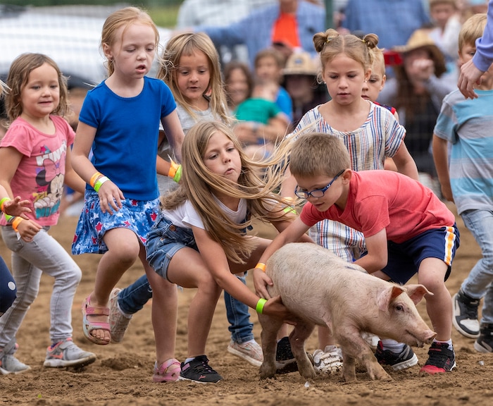 (Rick Egan | The Salt Lake Tribune) Kids wrestle for a pig, in the Pig Chase competition, during the Liberty Days Celebration in Liberty, Utah, on Tuesday, July 4, 2023.  The kids that catch the chickens get to keep them. 