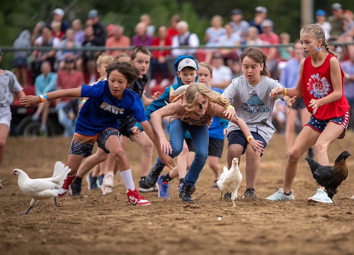 (Rick Egan | The Salt Lake Tribune) Kids scramble to catch the chickens, in the Chicken Catch competition, during the Liberty Days Celebration in Liberty, Utah, on Tuesday, July 4, 2023.  The kids that catch the chickens get to keep them. 