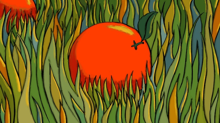 (Sundance Institute) An image from "The Eating of an Orange" by May Kindred-Boothby, an official selection of the 2025 Sundance Film Festival and the winner of the Short Film Special Jury Prize for Animation Directing.