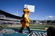 (Bethany Baker  |  The Salt Lake Tribune) Bumble, the mascot for the Salt Lake Bees, walks on top of the dugout during the final game of the Salt Lake Bees at Smith's Ballpark in Salt Lake City on Sunday, Sept. 22, 2024.