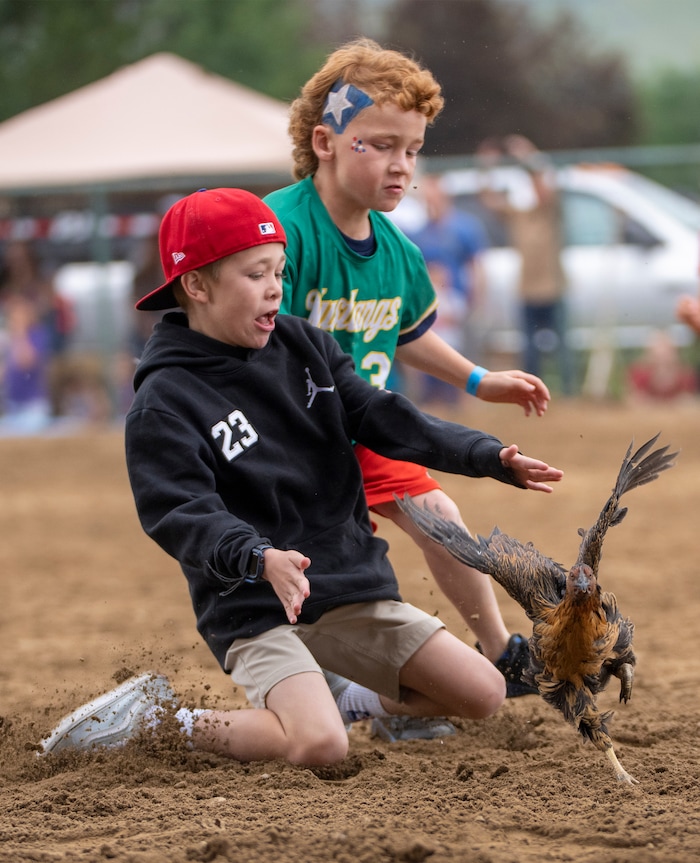 (Rick Egan | The Salt Lake Tribune) Kids scramble after the chicken, in the Chicken Catch competition, during the Liberty Days Celebration in Liberty, Utah, on Tuesday, July 4, 2023.  The kids that catch the chickens get to keep them. 