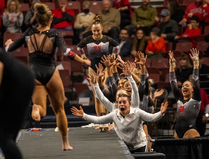 (Rick Egan | The Salt Lake Tribune)  Utah cheers after Ella Zirbes performance on the vault, as the Red Rocks vs. LSU, Oklahoma and UCLA at the Maverik Center, on Saturday, Jan. 13, 2024.
