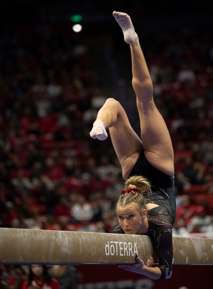 (Rick Egan | The Salt Lake Tribune)  Abby Paulson competes on the beam, in gymnastics action between Utah Red Rocks and Oregon State, at the Jon M. Huntsman Center, on Friday, Feb. 2, 2024.
