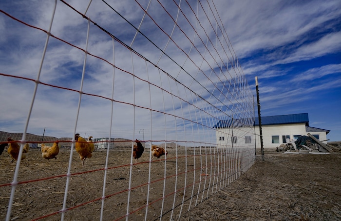 (Francisco Kjolseth  |  The Salt Lake Tribune) A home is built with insulated concrete forms at Riverbed Ranch, a remote self reliant community two hours outside of Salt Lake City on Saturday, February. 17, 2024.