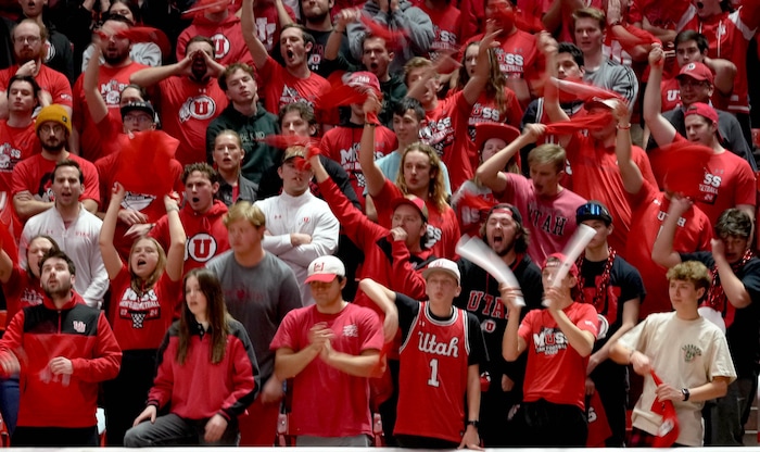 (Francisco Kjolseth  |  The Salt Lake Tribune) The MUSS goes nuts in triple overtime in PAC-12 basketball action between the Utah Utes and the Arizona Wildcats at the Jon M. Huntsman Center, on Thursday, Feb. 8, 2024.