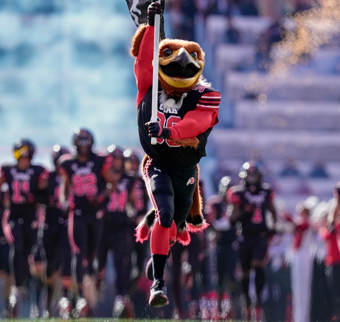 (Francisco Kjolseth  |  The Salt Lake Tribune) Swoop and the Utah Utes run onto the field before the start of their game against the Arizona State Sun Devils in NCAA football in Salt Lake City on Saturday, Nov. 4, 2023.