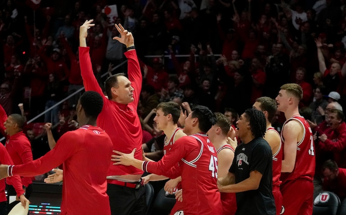 (Bethany Baker  |  The Salt Lake Tribune) Utah Utes assistant coach Chris Burgess reacts as the Utah Utes players storm the court after defeating the Brigham Young Cougars at the Jon M. Huntsman Center in Salt Lake City on Saturday, Dec. 9, 2023.