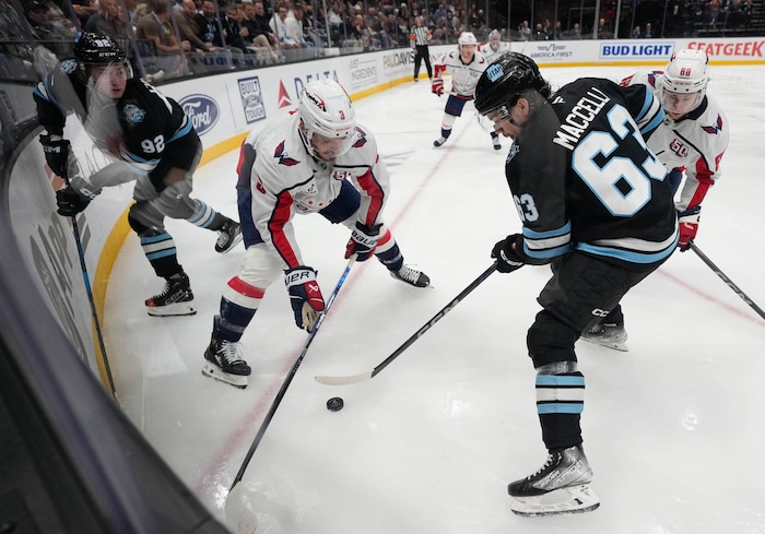 (Francisco Kjolseth  | The Salt Lake Tribune) Washington Capitals defenseman Matt Roy (3) battles Utah Hockey Club left wing Matias Maccelli (63) during an NHL hockey game at the Delta Center in Salt Lake City on Monday, Nov. 18, 2024.