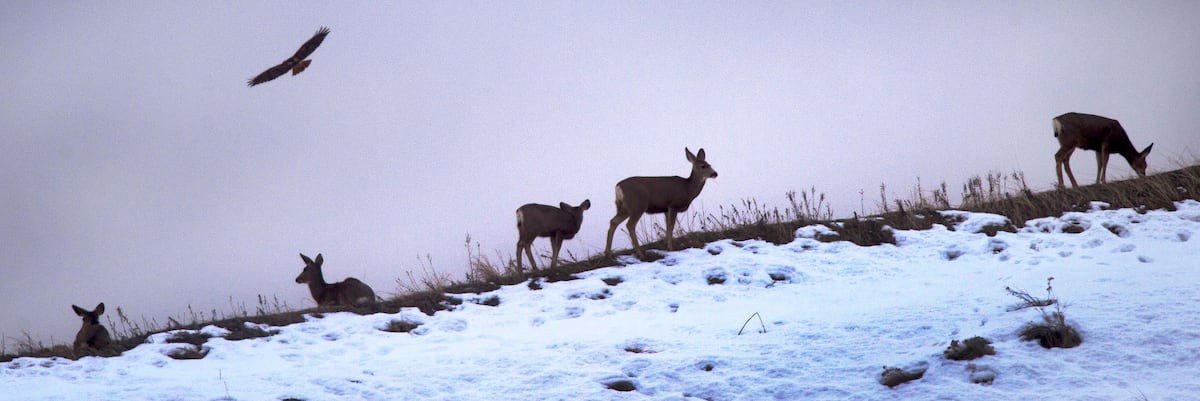 www.sltrib.com