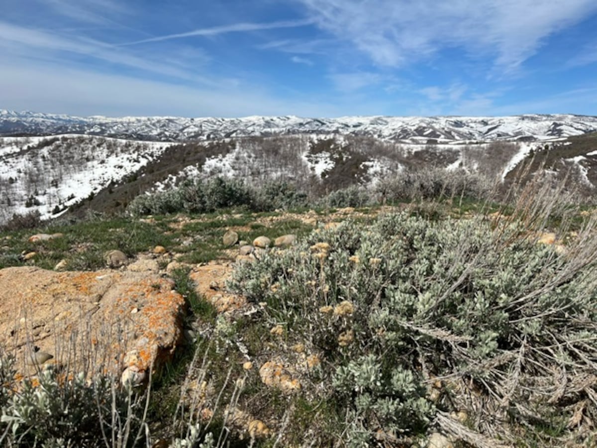 www.sltrib.com