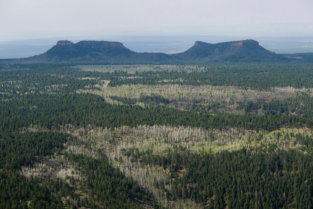 www.sltrib.com