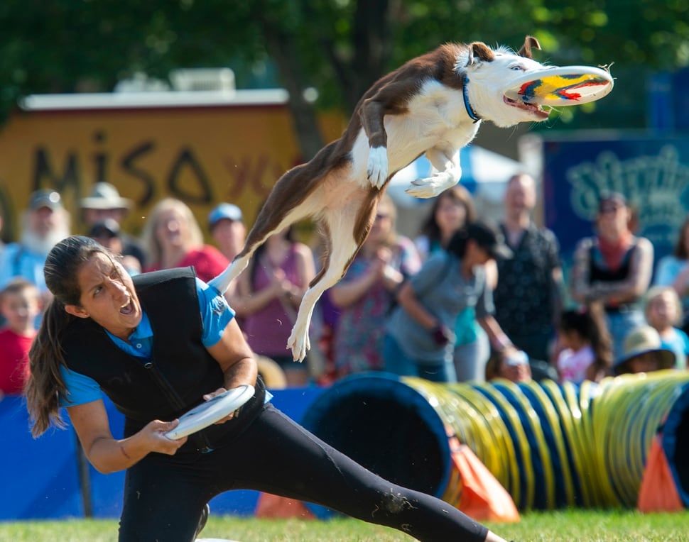Photos Monday at the Utah State Fair means ice cream, a dog show and