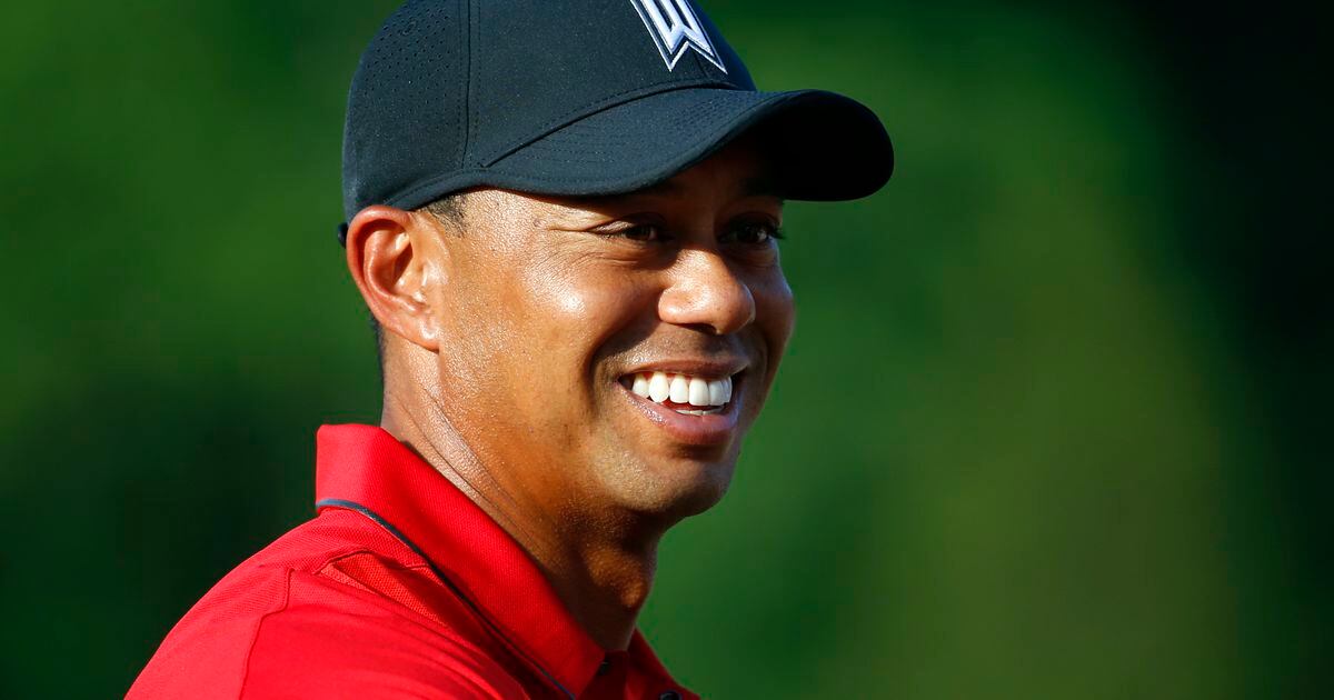 Tiger Woods pleads guilty to reckless driving, avoids jail sentence